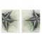 Stupell Industries Detailed Starfish Sand Beach 2 pc Wall Plaque Art Set Design by Grace Popp